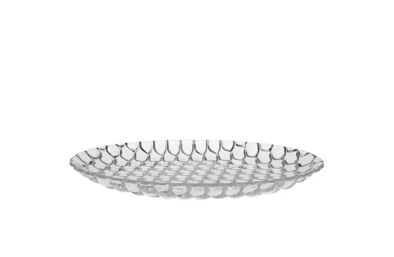 Jellies Family Flat Plate
